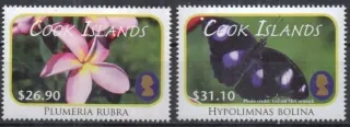 1716-1717 Fauna