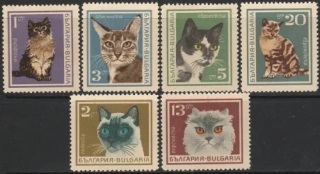 1717-1722 Mačky