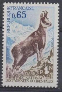 1747 Fauna