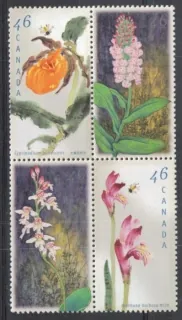 1760-1763 Kvety