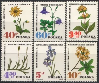 1770-1775 Kvety