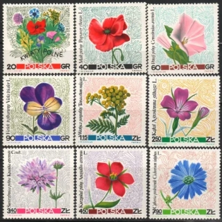 1781-1789 Kvety