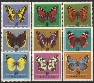 1797-1805 Motýle