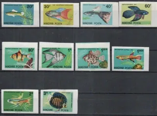 1820-1829 B * FAUNA