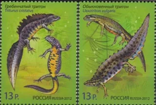 1831-1832 Fauna