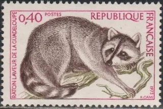 1843 Fauna