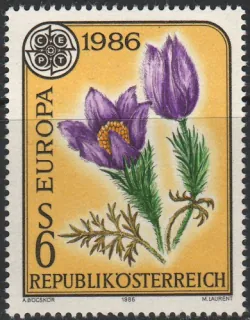1878** Kvety