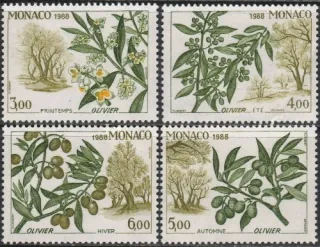 1884-1887 Flora