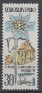 1893 DV 50/1