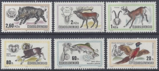 1902-1907**  Svetová poľovnícka výstava