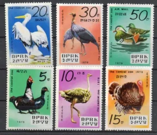 1905-1910 Fauna