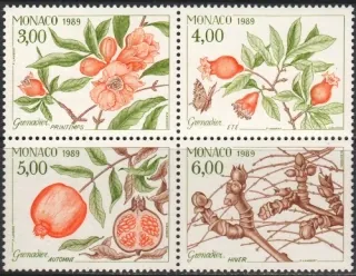 1907-1910 Flora