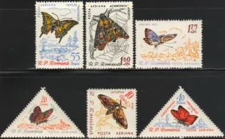 1918-1923 FAUNA