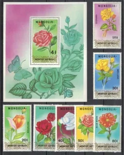 1948-1954 BL 127 Flora