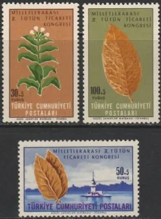 1958-1960
