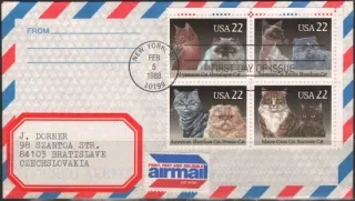 1965-1968 Mačky