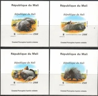 1974-1977B/BL118 Fauna