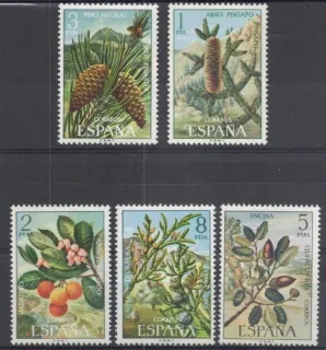 1980-1984 Flora
