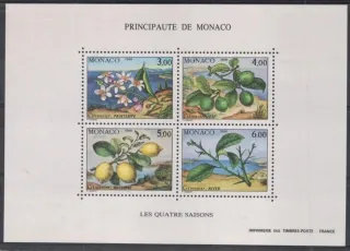 1990-1993 BL 49 Flora