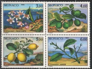 1990-1993 Flora