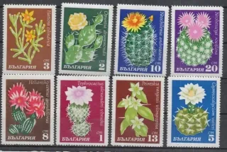 1991-1998 Flora