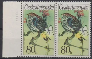 1999 DV 6/2