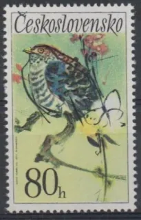 1999 DV 6/2