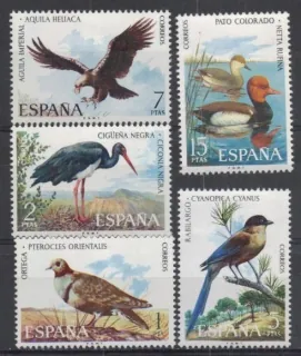 2029-2033 Fauna
