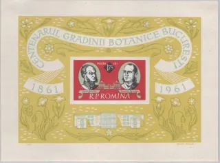 2029 BL 51