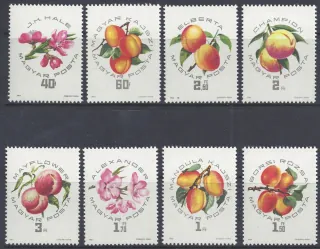 2044-2051* Flora