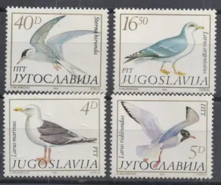 2055-2058