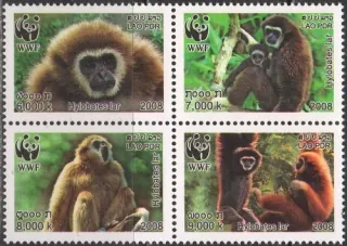 2062-2065 A Fauna