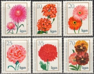 2070-2075 Kvety