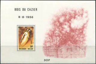 2070/ BL51