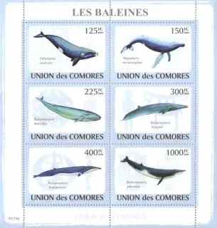 2121-2126 KB Fauna