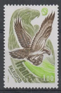 2122 Vtaky
