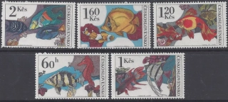 2142-2146**  Akváriové ryby