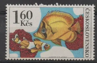 2145 DV