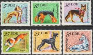 2155-2160 Fauna
