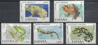 2164-2168 Fauna
