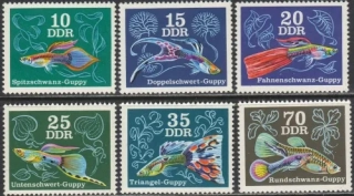 2176-2181 Fauna