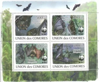 2212-2215 A Fauna