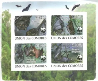 2212-2215 B Fauna