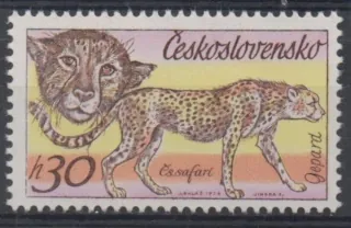 2223 DV11/2