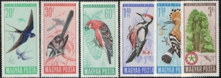 2231-2236 **Vtáky