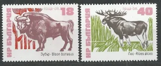 2252-2253 N. Fauna