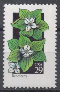 2280 Flora