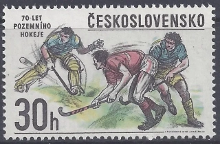 2307**  Pozemný hokej