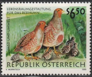 2312** Vtáky