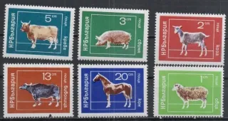 2319-2324 Fauna